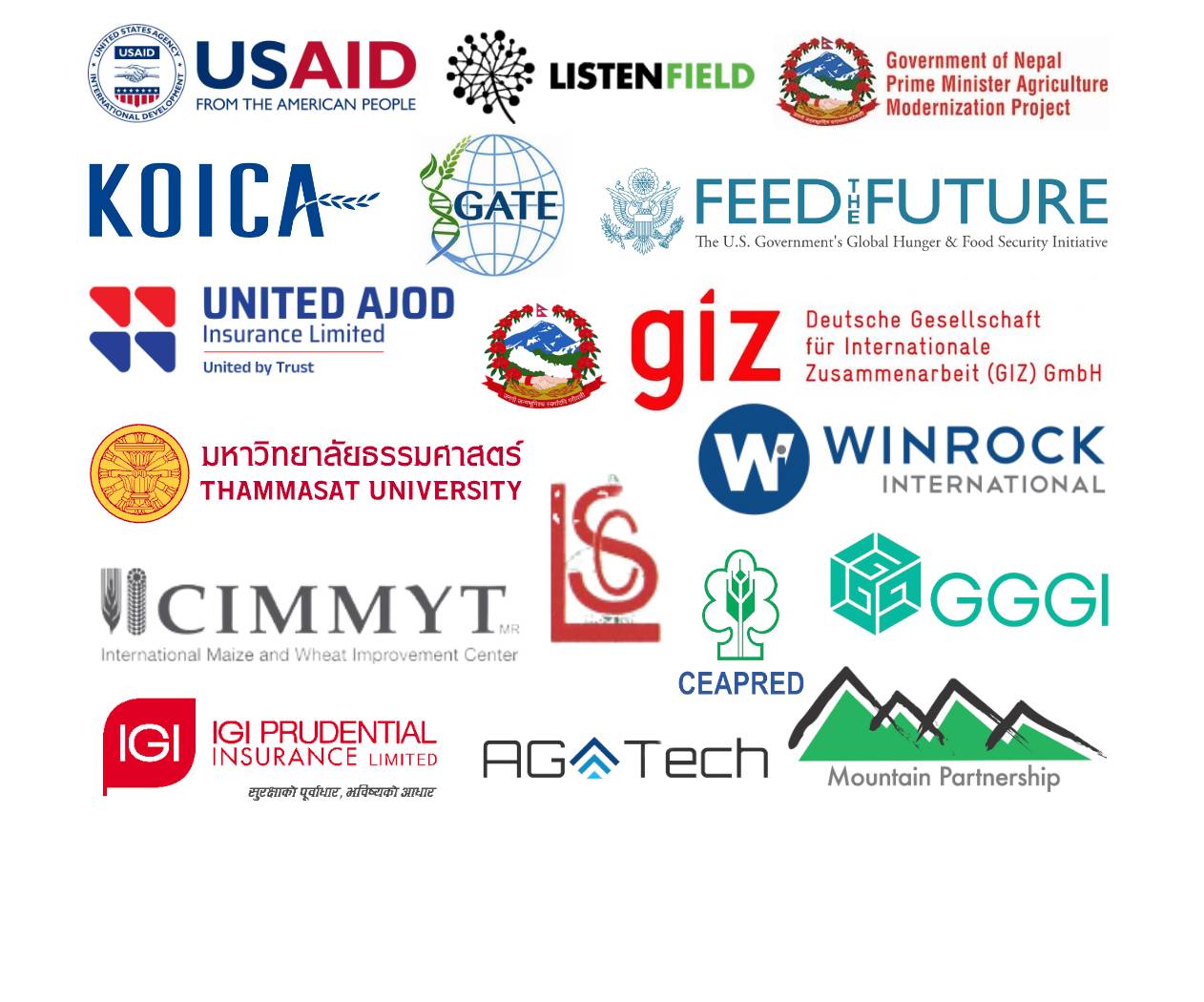 Our Partners